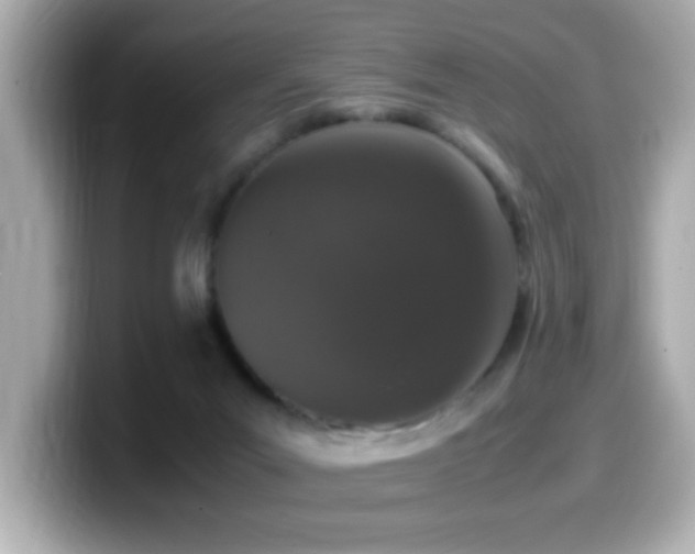 X0000099990023200805231501