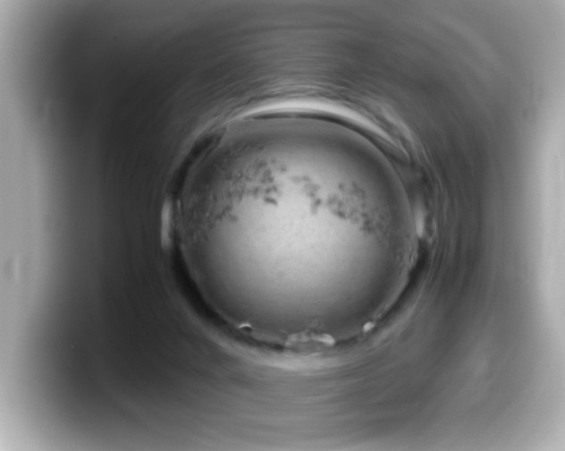 X0000099990024200805231501