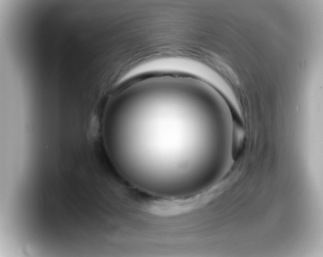 X0000099990025200805231501