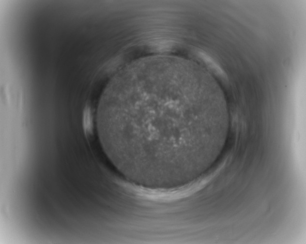 X0000099990026200805231501