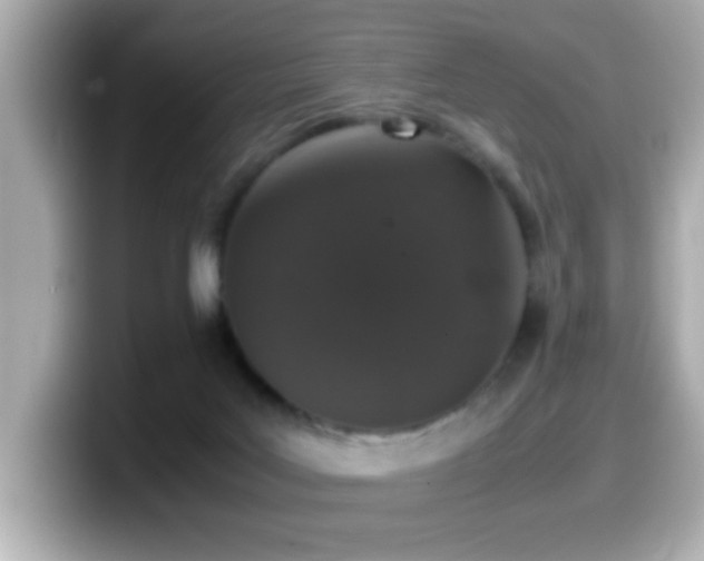 X0000099990027200805231501