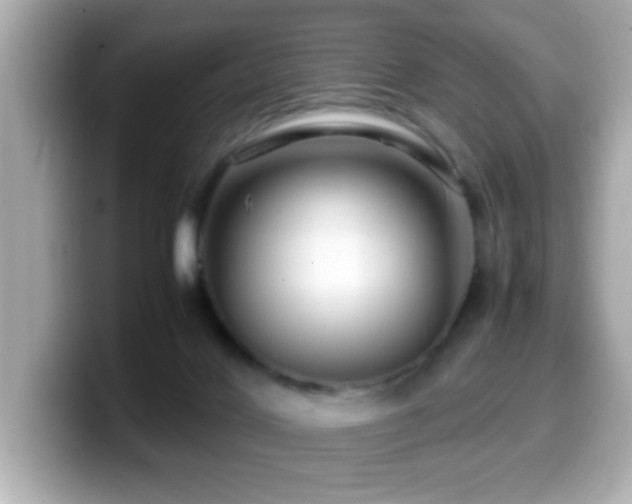 X0000099990028200805231501