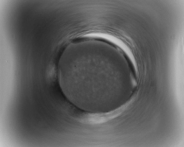 X0000099990029200805231501
