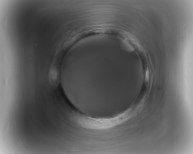 X0000099990031200805231501