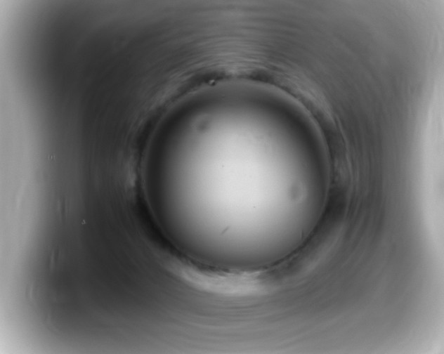 X0000099990032200805231501