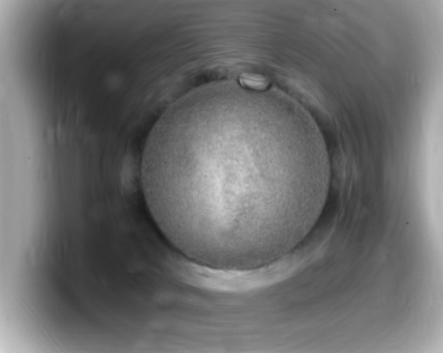 X0000099990034200805231501