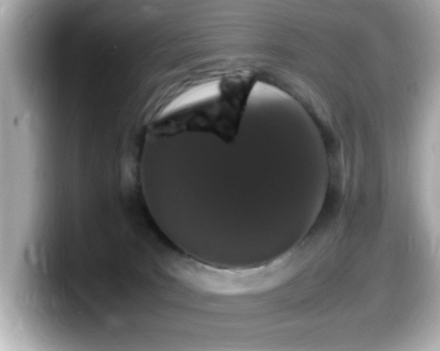 X0000099990035200805231501