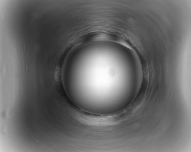 X0000099990036200805231501