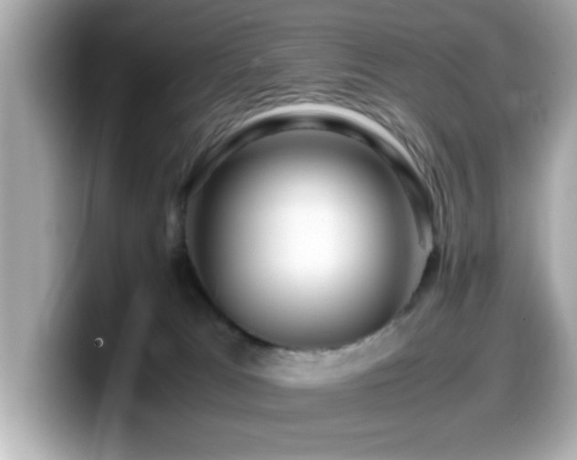 X0000099990037200805231501