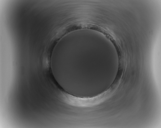 X0000099990039200805231501