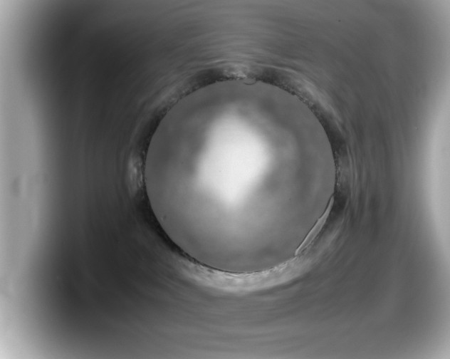 X0000099990043200805231501
