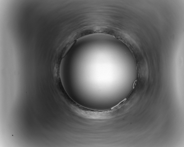 X0000099990044200805231501
