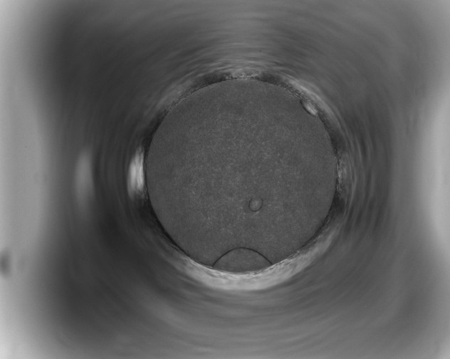 X0000099990046200805231501