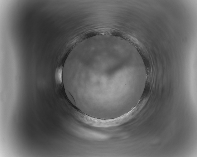 X0000099990047200805231501