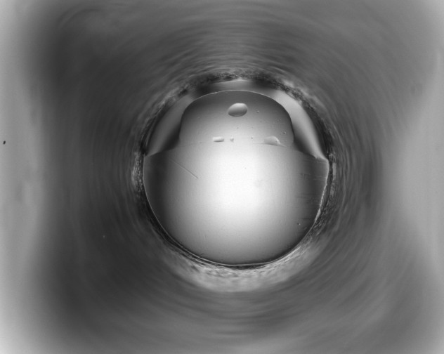 X0000099990048200805231501