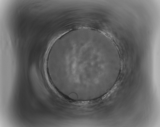 X0000099990049200805231500
