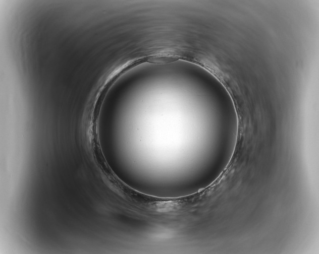 X0000099990050200805231500