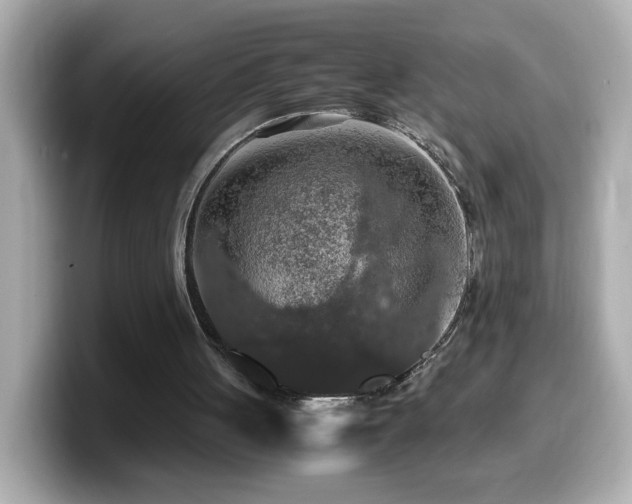 X0000099990051200805231500