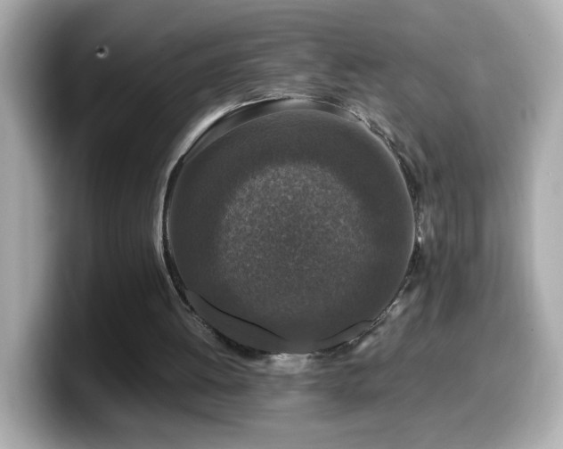 X0000099990052200805231500