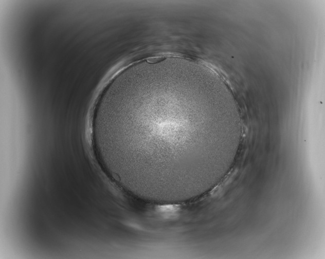 X0000099990053200805231500