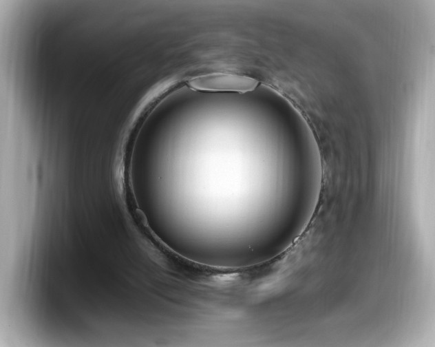 X0000099990054200805231500