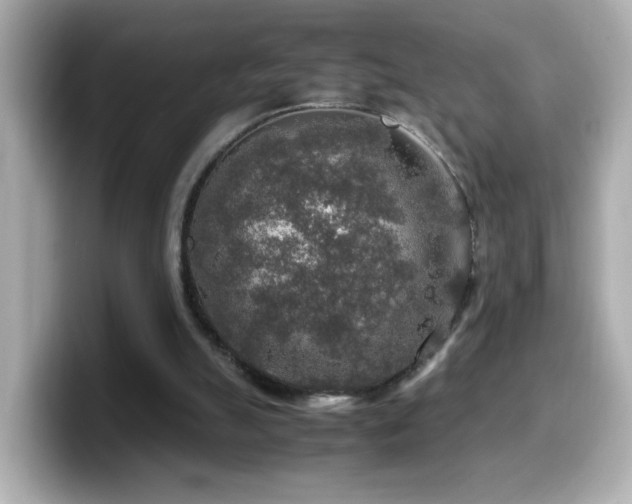 X0000099990055200805231500