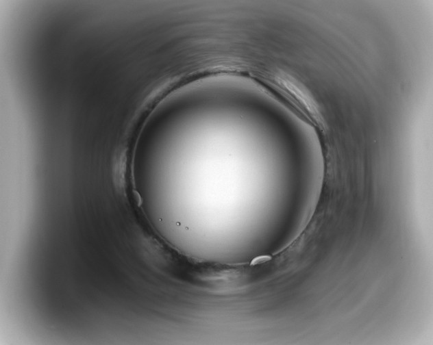 X0000099990058200805231500
