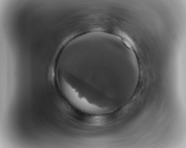 X0000099990059200805231501
