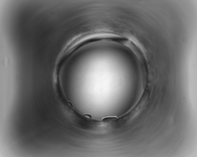 X0000099990060200805231501