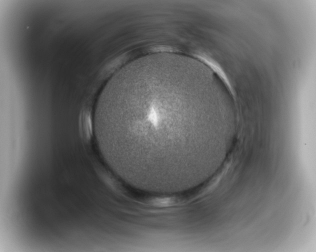 X0000099990061200805231501