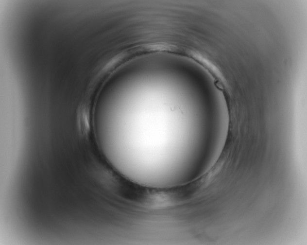 X0000099990062200805231501