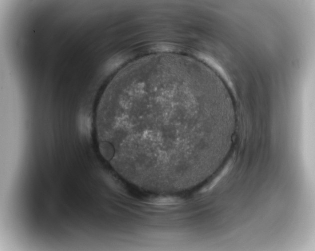 X0000099990063200805231501