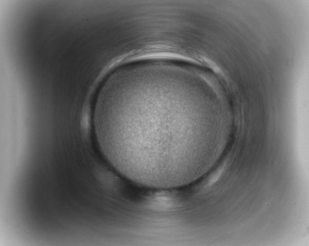 X0000099990064200805231501