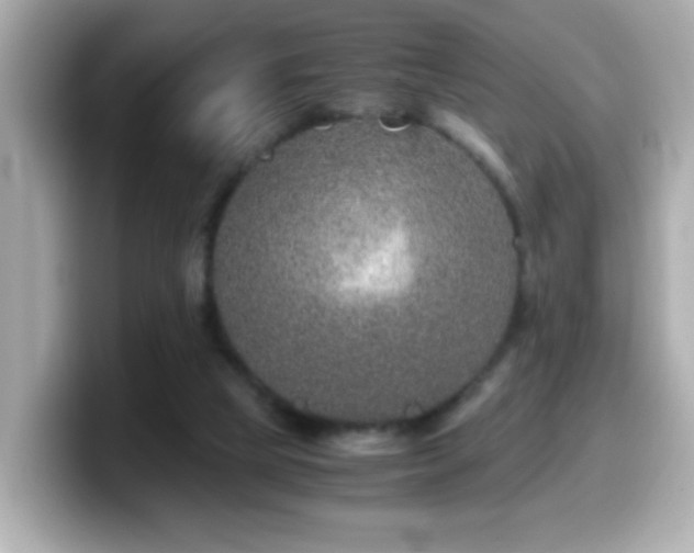 X0000099990065200805231501