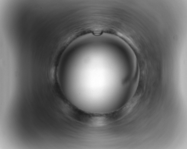 X0000099990066200805231501