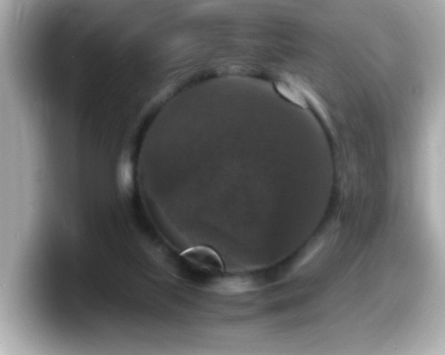 X0000099990067200805231501