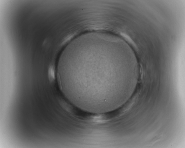 X0000099990068200805231501