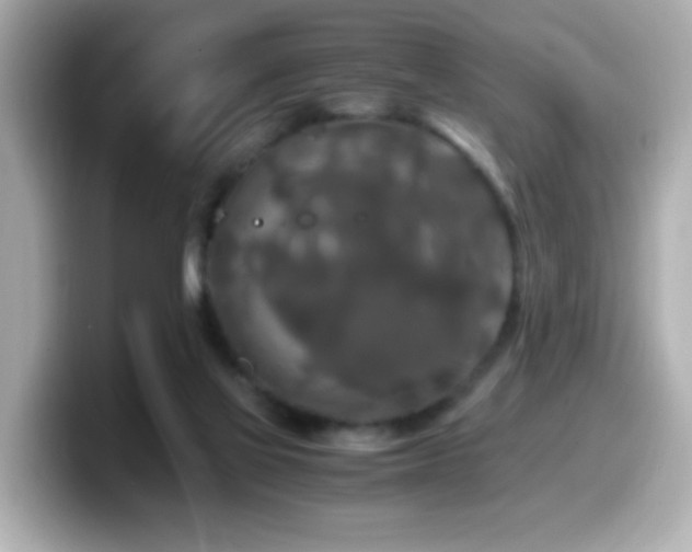 X0000099990069200805231501