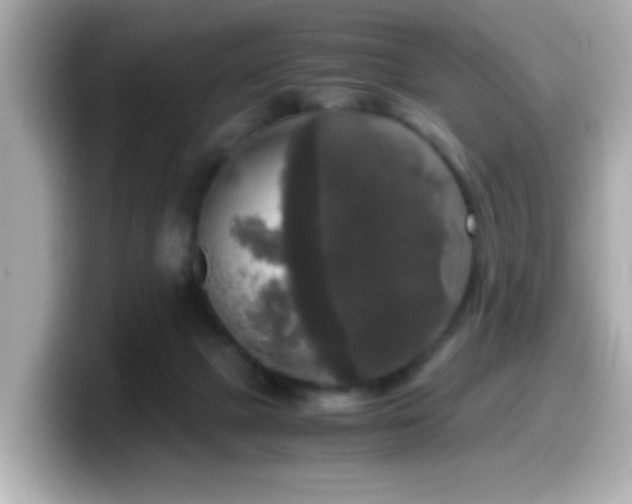 X0000099990073200805231501