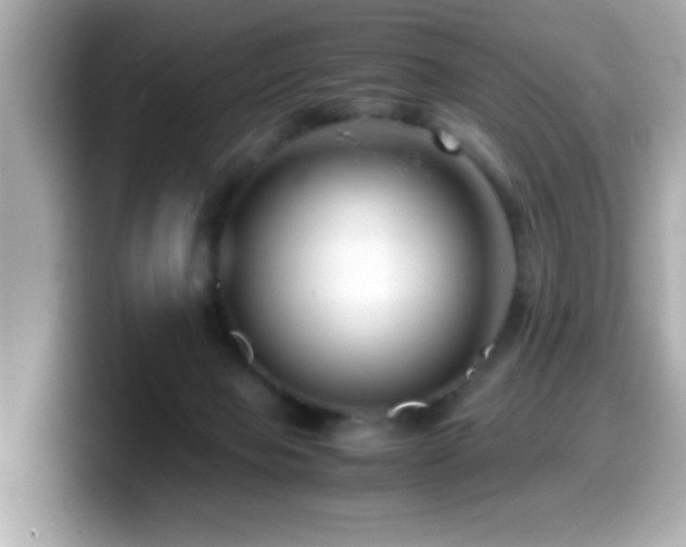 X0000099990077200805231501