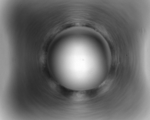 X0000099990078200805231501