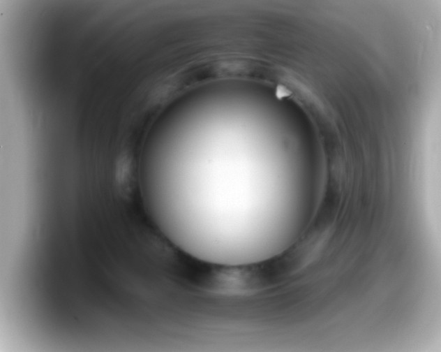 X0000099990079200805231501