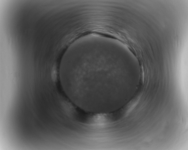 X0000099990080200805231501