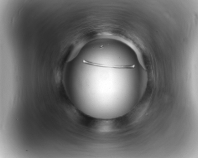 X0000099990081200805231501