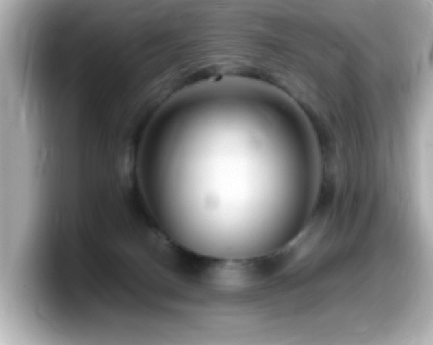 X0000099990082200805231501