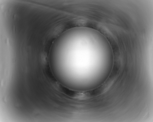 X0000099990083200805231501