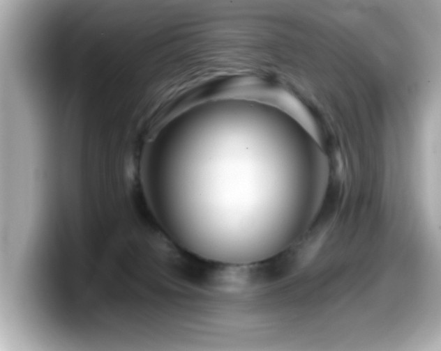 X0000099990084200805231501