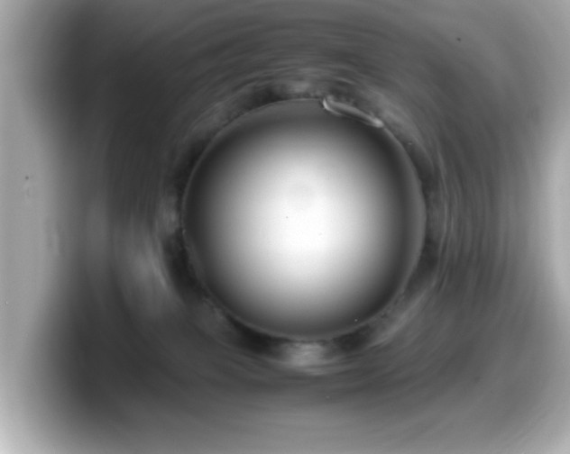 X0000099990085200805231501