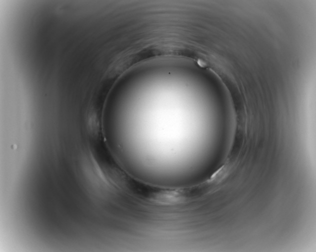 X0000099990086200805231501