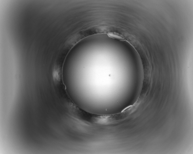 X0000099990090200805231501